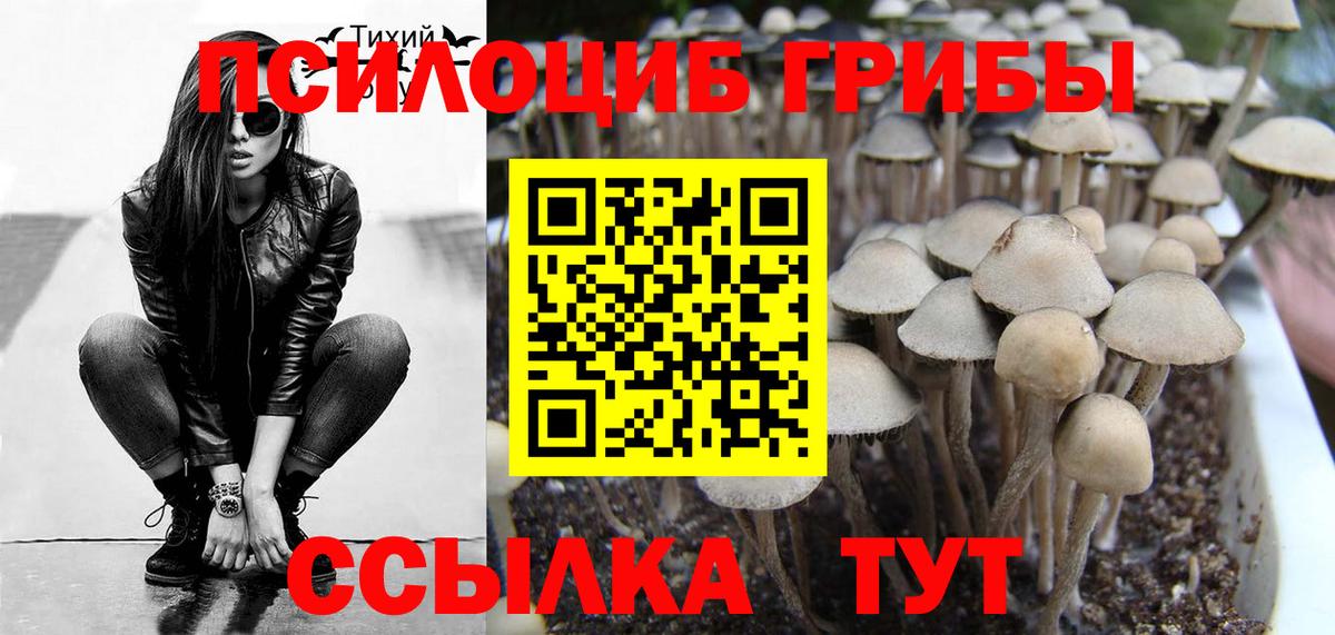 Псилоцибиновые грибы Psilocybe  Галлюциногенные грибы Magic Shrooms  Вход с VPN  Добрянка 