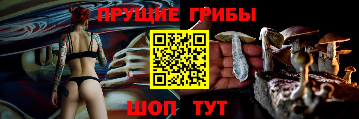 Псилоцибиновые грибы прущие грибы Добрянка